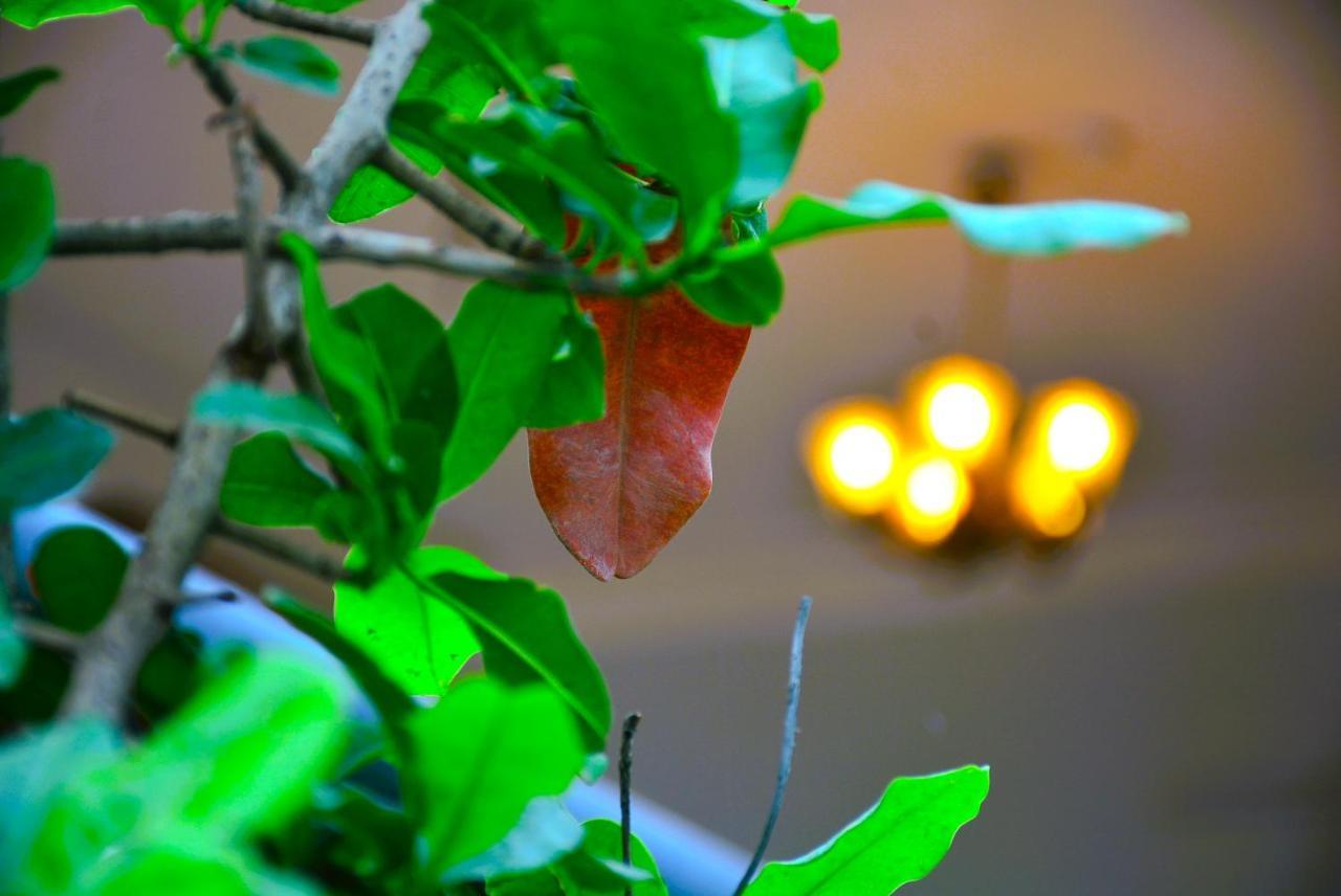 Malaiya Homestay - Grandeur Living Experience 贾巴尔普尔 外观 照片